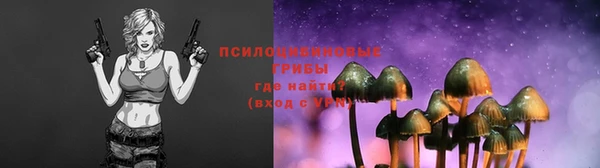 МДМА Дмитровск