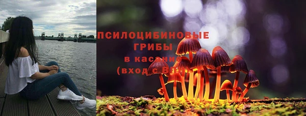 МДМА Дмитровск