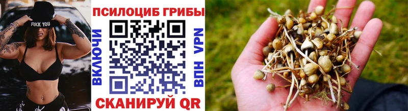 Галлюциногенные грибы Psilocybe  OMG зеркало  Полесск 